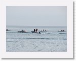 IMG_7259 * 4000 x 3000 * (2.58MB)
