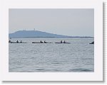 IMG_7266 * 4000 x 3000 * (2.49MB)