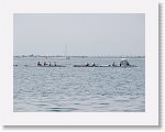 IMG_7272 * 4000 x 3000 * (2.7MB)