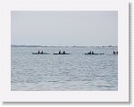 IMG_7273 * 4000 x 3000 * (2.55MB)