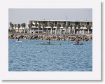 IMG_7274 * 4000 x 3000 * (3.34MB)