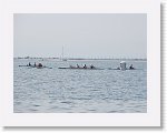 IMG_7275 * 4000 x 3000 * (2.6MB)