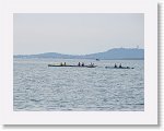IMG_7277 * 4000 x 3000 * (2.78MB)