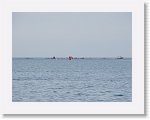 IMG_7278 * 4000 x 3000 * (2.45MB)