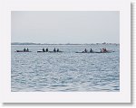 IMG_7282 * 4000 x 3000 * (3.01MB)