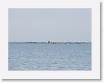 IMG_7286 * 4000 x 3000 * (2.45MB)