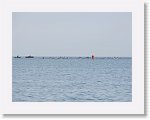 IMG_7287 * 4000 x 3000 * (2.49MB)