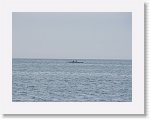 IMG_7289 * 4000 x 3000 * (2.6MB)