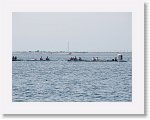 IMG_7296 * 4000 x 3000 * (3.08MB)