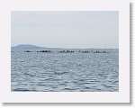 IMG_7299 * 4000 x 3000 * (2.96MB)