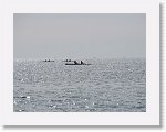 IMG_7301 * 4000 x 3000 * (2.94MB)
