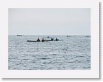IMG_7305 * 4000 x 3000 * (2.88MB)