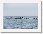 IMG_7325 * 4000 x 3000 * (2.85MB)