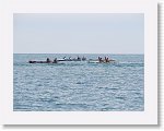 IMG_7327 * 4000 x 3000 * (3.15MB)