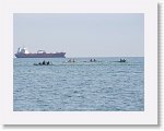IMG_7338 * 4000 x 3000 * (2.64MB)