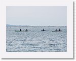 IMG_7344 * 4000 x 3000 * (2.89MB)