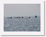 IMG_7348 * 4000 x 3000 * (3.21MB)