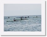IMG_7359 * 4000 x 3000 * (3.04MB)