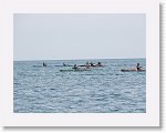 IMG_7367 * 4000 x 3000 * (2.92MB)