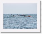 IMG_7368 * 4000 x 3000 * (2.92MB)
