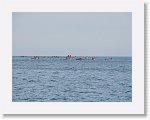 IMG_7381 * 4000 x 3000 * (2.8MB)