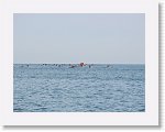 IMG_7382 * 4000 x 3000 * (2.75MB)