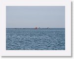 IMG_7387 * 4000 x 3000 * (3.21MB)