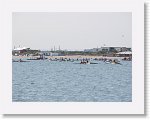 IMG_7417 * 4000 x 3000 * (2.7MB)