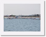 IMG_7418 * 4000 x 3000 * (2.67MB)