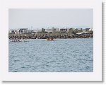 IMG_7436 * 4000 x 3000 * (2.9MB)