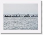 IMG_7446 * 4000 x 3000 * (2.55MB)