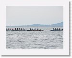 IMG_7449 * 4000 x 3000 * (2.57MB)