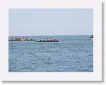 IMG_7484 * 4000 x 3000 * (2.57MB)