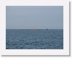 IMG_7504 * 4000 x 3000 * (2.81MB)