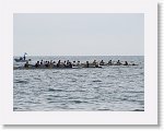 IMG_7524 * 4000 x 3000 * (2.78MB)