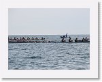 IMG_7525 * 4000 x 3000 * (2.65MB)