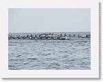 IMG_7535 * 4000 x 3000 * (2.65MB)