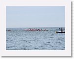 IMG_7543 * 4000 x 3000 * (2.46MB)
