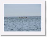 IMG_7545 * 4000 x 3000 * (2.35MB)