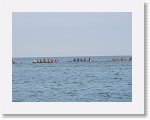 IMG_7550 * 4000 x 3000 * (2.38MB)