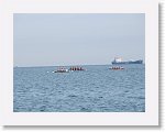 IMG_7553 * 4000 x 3000 * (2.51MB)