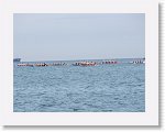 IMG_7554 * 4000 x 3000 * (2.45MB)