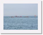 IMG_7557 * 4000 x 3000 * (2.52MB)
