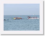 IMG_7598 * 4000 x 3000 * (2.73MB)
