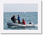 IMG_7619 * 4000 x 3000 * (3.29MB)
