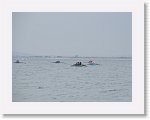 IMG_8989 * 4000 x 3000 * (2.15MB)