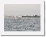 IMG_9588 * 4000 x 3000 * (2.53MB)