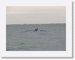 IMG_9666 * 4000 x 3000 * (2.48MB)