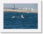 IMG_8461 * 4000 x 3000 * (2.73MB)