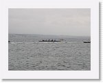 IMG10065 * 4000 x 3000 * (2.47MB)